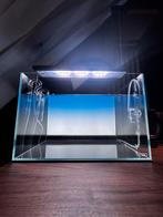 ADA 45P met toebehoren Nieuw, Dieren en Toebehoren, Vissen | Aquaria en Toebehoren, Ophalen, Nieuw