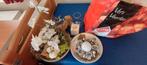 Gratis Tafeldecoratie - Bloemstuk & Kaarsenhouder, Ophalen, Zo goed als nieuw