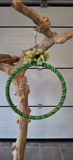 Papagaai/ vogel speelgoed. Zie beschrijving., Ophalen, Nieuw, Speelgoed