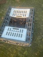 3 pluimvee kratten, Ophalen of Verzenden, Zo goed als nieuw, Drinken en Voederen