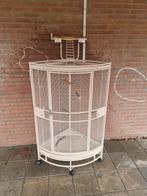 Papagaaien Hoek Kooi (zeer nette staat), Dieren en Toebehoren, Ophalen, Zo goed als nieuw, Metaal, Vogelkooi