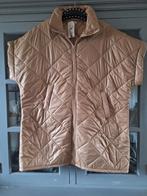 New Collection  Bodywarmer " Nieuw " ( 54-56  ), Kleding | Dames, Grote Maten, New Collection, Ophalen of Verzenden, Nieuw, Beige