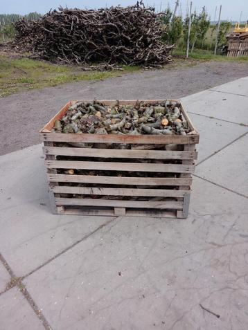 Droog appelhout fruitbomenhout haardhout  beschikbaar voor biedingen