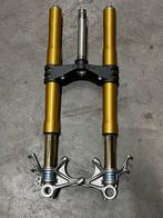 Ducati panigale 1299 carbon parts ,ohlins,brembo brakes, Ophalen of Verzenden, Gebruikt
