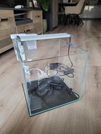Complete set Superfish scaper 25, Ophalen, Zo goed als nieuw, Leeg aquarium