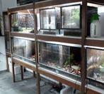 Terrarium, terraria, diverse afmetingen, Dieren en Toebehoren, Reptielen en Amfibieën | Toebehoren, Ophalen, Zo goed als nieuw