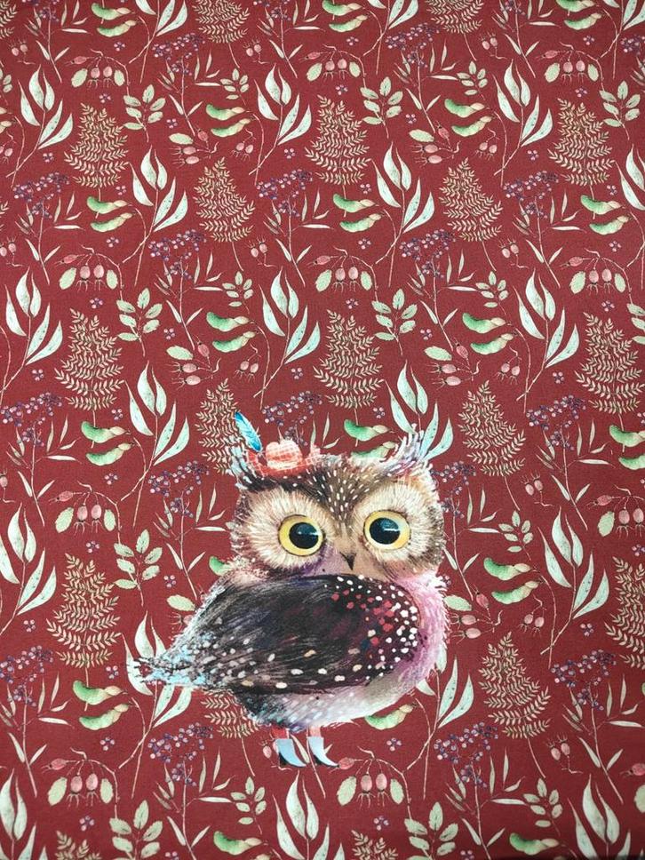 French Terry uilen paneel deel, Hobby en Vrije tijd, Stoffen en Lappen, Nieuw, Katoen, 120 cm of meer, 30 tot 200 cm, Ophalen of Verzenden