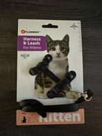 Kitten tuigje, Ophalen of Verzenden, Nieuw