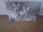3-delig foto schilderij zebra's 85x60 cm, 50 tot 75 cm, Ophalen of Verzenden, Zo goed als nieuw, Schilderij