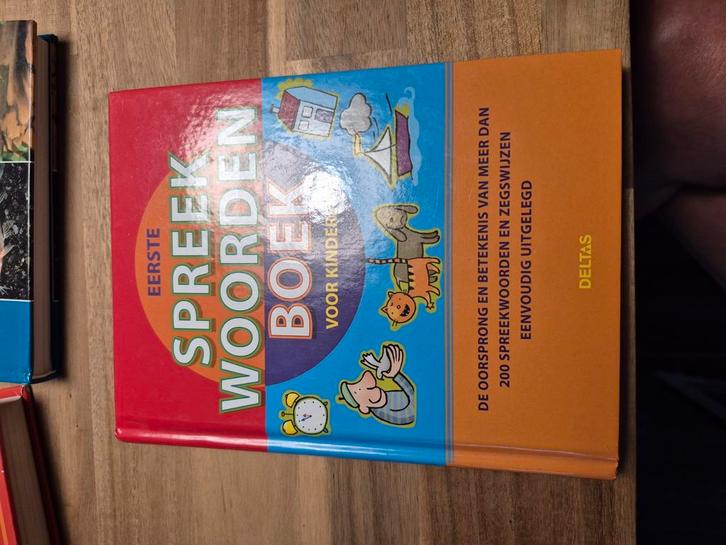 Son Tyberg - Eerste spreekwoordenboek, Boeken, Kinderboeken | Kleuters, Zo goed als nieuw, Non-fictie, Ophalen of Verzenden