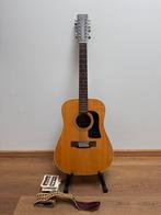 12-snarige Western gitaar met koffer, Ophalen of Verzenden, Gebruikt, Western- of Steelstringgitaar, 12-snarig