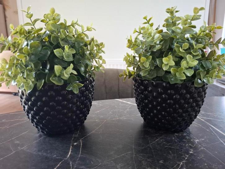 2 Kunsplantjes met Zwarte Overpotten - Perfecte Staat!, Huis en Inrichting, Woonaccessoires | Kunstplanten en Kunstbloemen, Ophalen of Verzenden