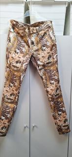 nieuw ongedragen broek van MAC Dream Jeans in M, Overige kleuren, Verzenden, Nieuw, W30 - W32 (confectie 38/40)