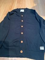 Winterkleding: Truien & Vest M/L, Ophalen of Verzenden, Gedragen, Maat 48/50 (M), Overige kleuren