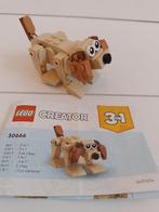 LEGO Creator 30666 Hondje - Compleet! 3 in 1 beer eekhoorn, Ophalen of Verzenden, Zo goed als nieuw, Complete set, Lego