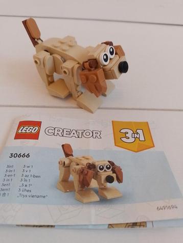 LEGO Creator 30666 Hondje - Compleet! 3 in 1 beer eekhoorn beschikbaar voor biedingen