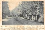 Groet uit Apeldoorn, Verzenden, Voor 1920, Ongelopen, Gelderland