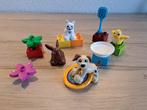 Duplo 10838 Huisdieren, Ophalen of Verzenden, Zo goed als nieuw, Complete set, Duplo