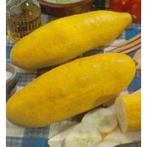 Gele tros - Komkommer zaden, Tuin en Terras, Bloembollen en Zaden, Verzenden, Volle zon