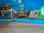 Hamster terrarium 84 x 39 x 40, Gebruikt, 75 tot 110 cm, Ophalen, Minder dan 60 cm
