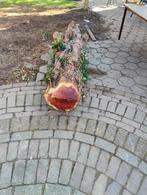 Boomstam Taxus, Tuin en Terras, Haardhout, Minder dan 3 m³, Ophalen
