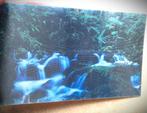 3D Lenticulaire Kaart Nieuw-Zeeland~Waterval + Bomen, Ophalen of Verzenden, 1980 tot heden, Gelopen, Natuur
