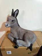 Decorations, Dieren en Toebehoren, Mannelijk, Dwerg