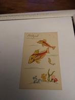 1 er. AVRIL.  FISH, Ophalen of Verzenden, Voor 1920, Sterren en Beroemdheden