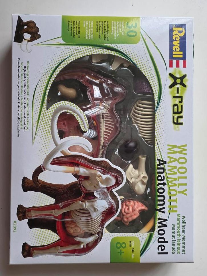 Revell X-Ray Wolly Mammoth Anatomie Model - Nieuw, Hobby en Vrije tijd, Modelbouw | Auto's en Voertuigen, Nieuw, Overige typen