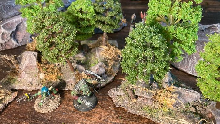 3 terrein stukken bos wargaming bomen dnd scenery, Hobby en Vrije tijd, Modelbouw | Figuren en Diorama's, 1:35 tot 1:50, Ophalen of Verzenden