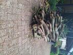 Hout, Tuin en Terras, Haardhout, Minder dan 3 m³, Ophalen, Overige houtsoorten, Stammen