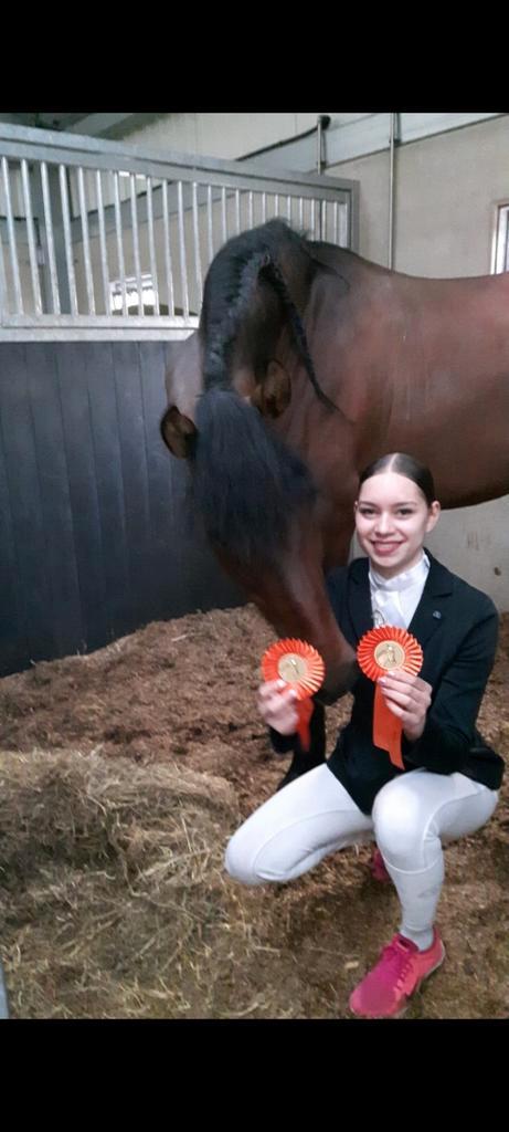 Gevorderde ruiter zoekt bijrijdpaard, Dieren en Toebehoren, Paarden en Pony's | Verzorgingsproducten, Ophalen of Verzenden