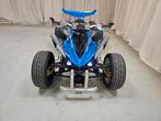 Spy Racing 350 F1 snelle quad met kenteken, 350 cc