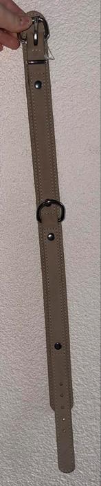 Mooie leren halsband. Nieuw!, Ophalen of Verzenden, Nieuw