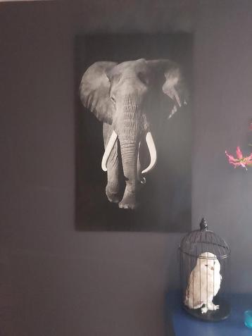 Olifant Schilderij - ZGAN - 120x70cm beschikbaar voor biedingen