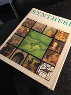 Boek Synthese, Ophalen of Verzenden, 20e eeuw of later, Zo goed als nieuw