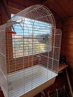 Vogelkooi te koop, Meerdere dieren, Overige soorten