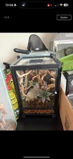 Spinnen / sprinkhaan verblijf, Dieren en Toebehoren, Reptielen en Amfibieën | Toebehoren, Ophalen, Zo goed als nieuw