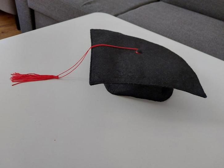 Afstudeer hoed met kwastje Geslaagd zgan, Hobby en Vrije tijd, Feestartikelen, Nieuw, Hoed of Pruik, Overige, Ophalen of Verzenden
