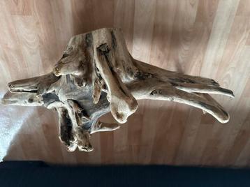 Boomstronk beschikbaar voor biedingen