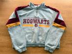 Harry Potter trui, Kinderen en Baby's, Kinderkleding | Maat 134, Ophalen of Verzenden, Gebruikt, Meisje, Trui of Vest