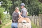 Paardrijles bosritten manege lessen paardrijden, Diensten en Vakmensen, Dieren | Paarden | Verzorging, Oppas en Les, Stalling of Weidegang