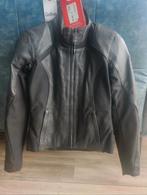 Motorjas dames, Motoren, Kleding | Motorkleding, Ophalen of Verzenden, Tweedehands