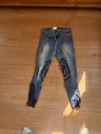 Paardrijbroek Harry's Horse maat 36, Ophalen of Verzenden, Gebruikt, Dames, Bovenkleding
