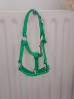 Mooie hobbyhorse halster te koop!, Hobby en Vrije tijd, Ophalen of Verzenden, Nieuw
