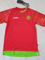 Roda JC heren keepersshirt in maat xl, Sport en Fitness, Voetbal, Maat XL, Ophalen of Verzenden, Zo goed als nieuw, Shirt