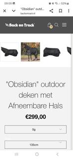 RUIL Back on track OBSIDIAN incl HALS 183  0 grams turnout, Dieren en Toebehoren, Ophalen, Zo goed als nieuw