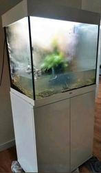 Juwel Lido 120 zgan & krasvrij!, Dieren en Toebehoren, Vissen | Aquaria en Toebehoren, Ophalen, Zo goed als nieuw, Leeg aquarium