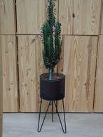 Leuke zwarte metalen plantenbak op pootjes, Ophalen, Gebruikt