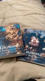 Dimitri Balcaen - De dienares van het oneindige en deel 2, Boeken, Ophalen of Verzenden, Zo goed als nieuw, Dimitri Balcaen